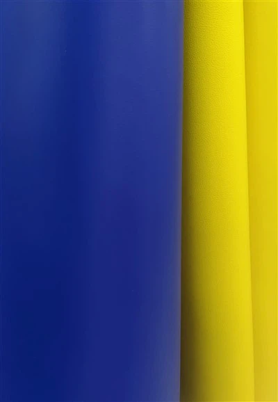 چرم والیبال